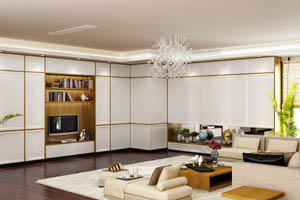 意式日皮视频软件系列