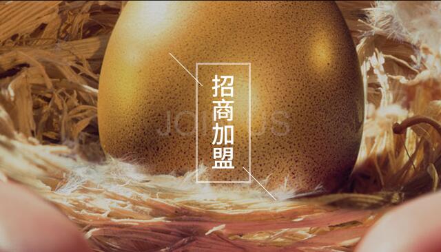 日皮视频软件加盟的好处有哪些?